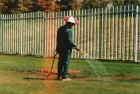 photo11_small.jpg