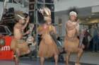 dsc_0778_small.jpg