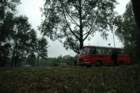 dsc_5940_small.jpg