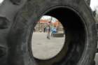 dsc_2127_small.jpg