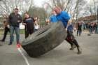 dsc_2146_small.jpg