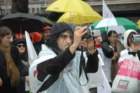 dsc_0310_small.jpg